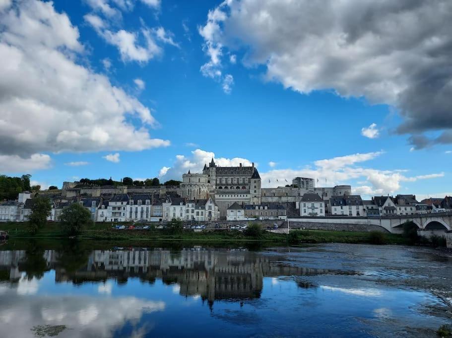 Apartament Le Concorde En Plein Centre Amboise Zewnętrze zdjęcie